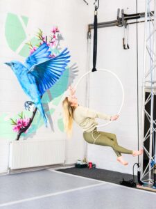 Read more about the article Aerial Hoop Bristol
